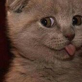 Секс знакомства в г Москва