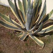 Секс знакомства в г Москва