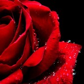 Секс знакомства в г Новороссийск