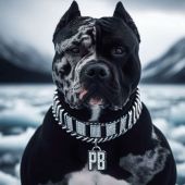 секс знакомства в г Владивосток