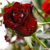 Секс знакомства в г Санкт-Петербург