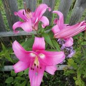 Секс знакомства в г Санкт-Петербург