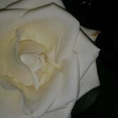 Секс знакомства в г Херсон