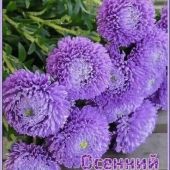 Секс знакомства в г Краснодар