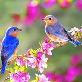 Секс знакомства в г Санкт-Петербург