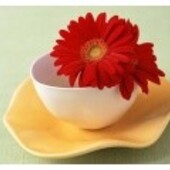 Секс знакомства в г Санкт-Петербург