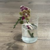 Секс знакомства в г Москва