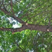 Секс знакомства в г Казань