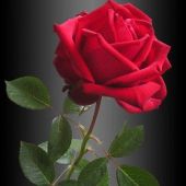 Секс знакомства в г Санкт-Петербург