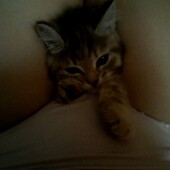 Секс знакомства в г Санкт-Петербург