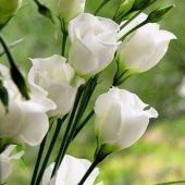 Секс знакомства в г Новокузнецк