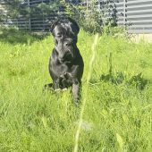 Секс знакомства в г Москва