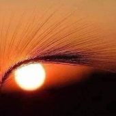 Секс знакомства в г Днепр