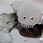 Секс знакомства в г Санкт-Петербург