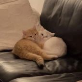 Секс знакомства в г Челябинск