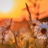 Секс знакомства в г Москва