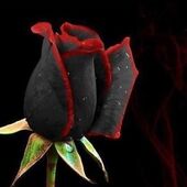 Секс знакомства в г Краснодар