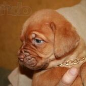 Секс знакомства в г Днепр