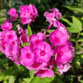 Секс знакомства в г Москва