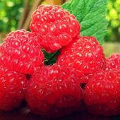 Секс знакомства в г Пермь