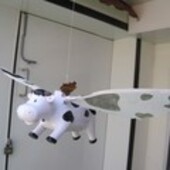 Секс знакомства в г Москва