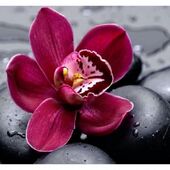 Секс знакомства в г Москва