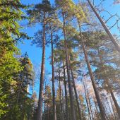 Кэт 44, Санкт-Петербург секс знакомства в г Санкт-Петербург