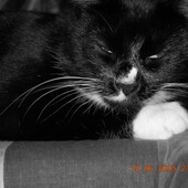 Секс знакомства в г Санкт-Петербург