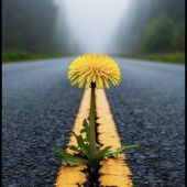 Секс знакомства в г Адлер