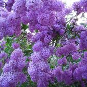 Секс знакомства в г Москва