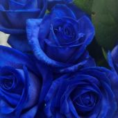 Секс знакомства в г Санкт-Петербург