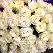 Секс знакомства в г Краснодар