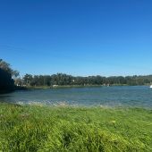 Секс знакомства в г Санкт-Петербург