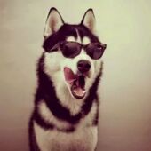 Секс знакомства в г Москва