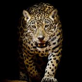 Секс знакомства в г Москва