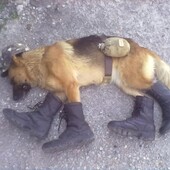 Секс знакомства в г Оренбург