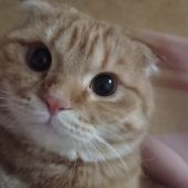 Секс знакомства в г Ростов-на-Дону