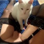 Василь 60, Ивано-Франковск секс знакомства в г Ивано-Франковск