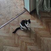 Секс знакомства в г Казань