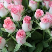 Секс знакомства в г Ярославль