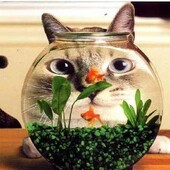 Секс знакомства в г Оренбург