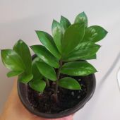 Секс знакомства в г Казань