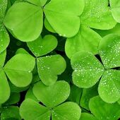 Секс знакомства в г Челябинск