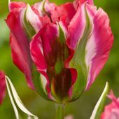 Секс знакомства в г Днепр