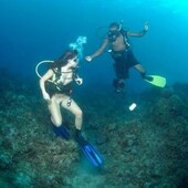 Секс знакомства в г Краснодар