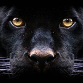 Секс знакомства в г Новороссийск