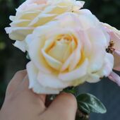 Секс знакомства в г Херсон