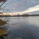 Секс знакомства в г Полтава