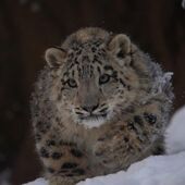 Секс знакомства в г Волгоград