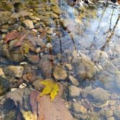 Секс знакомства в г Москва